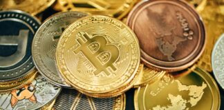 Ein Krypto-Betrüger soll seine millionenschwere Beute in Online-Casinos verzockt haben