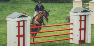 Die Merkur Spielbanken NRW sponsern den Reitsport