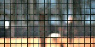 Immer mehr Spieler lassen sich via OASIS vom Glücksspiel ausschließen.