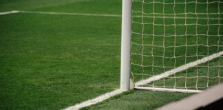 Der VfB Stuttgart startet mit bet365 als neuem Team-Partner in die Bundesliga-Saison 2025/26