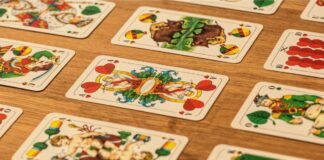 Gerichtsurteil: Schafkopf ist kein Glücksspiel, sondern ist in erster Linie ein Geschicklichkeitsspiel.