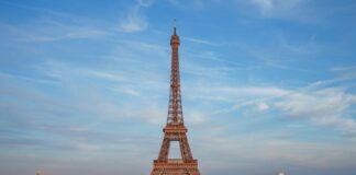 Sportwetten treiben den Umsatz enorm nach oben, während Poker und Pferdewetten stagnieren