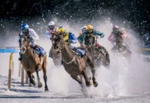 Eine risikobasierte Struktur nach britischem Vorbild wird gefordert