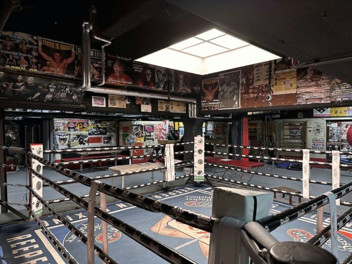 portraet dana white Vom UFC-Präsidenten zur Machtfigur im Profisport