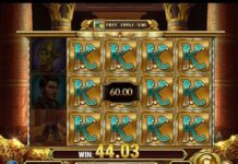 Lohnt sich Book of Dead GO Collect?