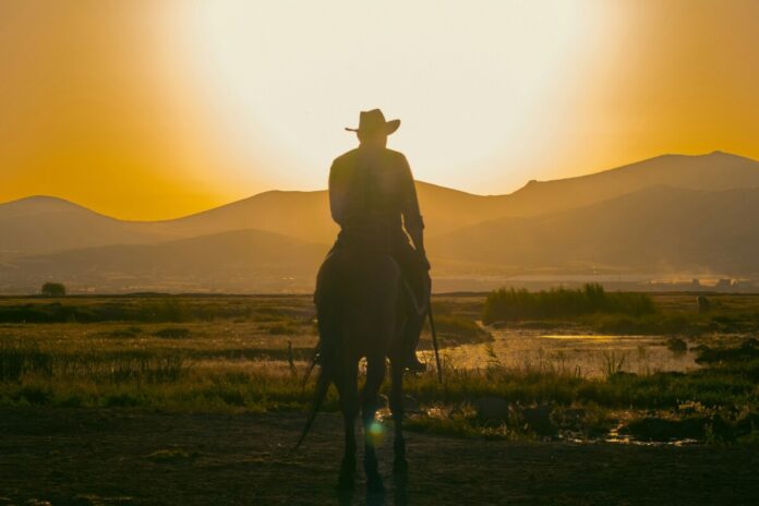 Chuck Norris verstorben – Nachrichten Foto von einem Cowboy, der auf einem Pferd in den Sonnenuntergang reitet.