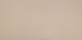 Les grandes tendances du casino en ligne en 2026