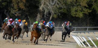 한국마사회와 부산경찰청이 온라인 불법경마 확산을 막기 위한 업무협약을 체결하고 공동 대응에 나섰다