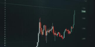 카지노를 포함한 죄악주 투자로 국정감사에서 논란이 된 국민연금