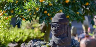 카지노 두 곳에 대해 자금세탁방지 검사를 앞두고 있는 제주도