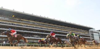 온라인 마권 발매 후 이용자 급증한 한국 경마 베팅