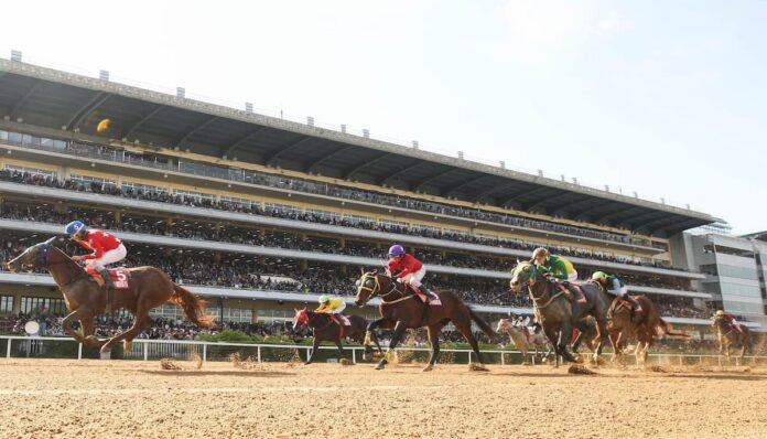 온라인 마권 발매 후 이용자 급증한 한국 경마 베팅