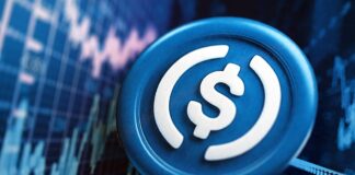 스테이블 코인에 대한 높아진 관심과 함께 대두된 P2E 게임 사행성 논란