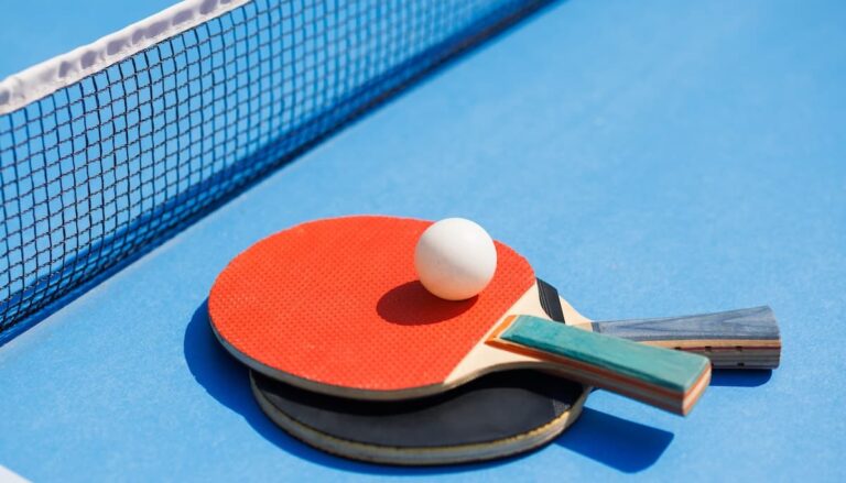 탁구 관련 스포츠토토 필요성을 강조한 올림픽 금메달 리스트 현정화