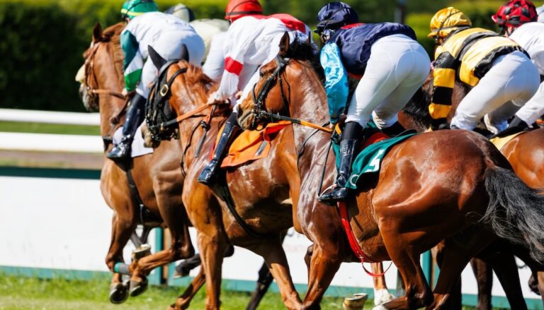 추석 연휴 경마장 휴장을 공지한 한국 마사회