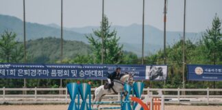 10월 경주를 시행하는 렛츠런파크 부산 경남