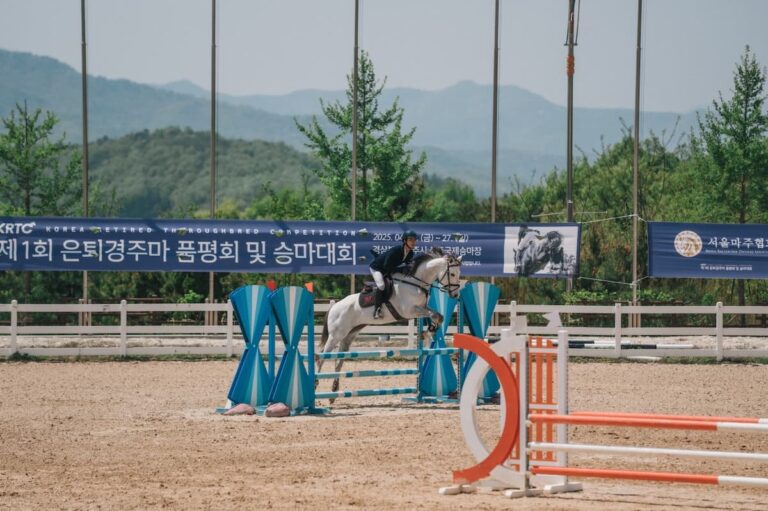 10월 경주를 시행하는 렛츠런파크 부산 경남