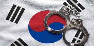 대한민국 국기 위에 놓여진 소갑