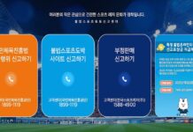불법 스포츠도박 신고 포상금 6억 원 돌파…최고 1억1천600만 원 지급 불법 스포츠 도박을 신고할 수 있는 불법스포츠신고센터