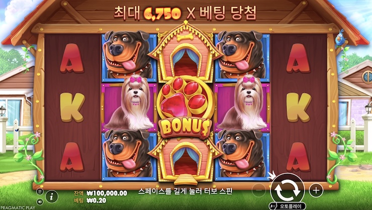 도그하우스 슬롯 게임 화면