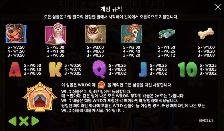 도그하우스 심볼 설명