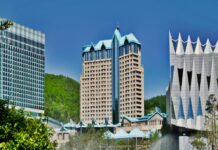 강원랜드 첫 ‘희망 슬롯·테이블’ 조사 시행.. 트렌디한 게임 즐기고 싶어