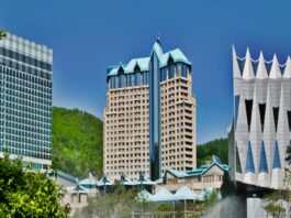 강원랜드 첫 ‘희망 슬롯·테이블’ 조사 시행.. 트렌디한 게임 즐기고 싶어