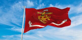 대한민국 해병대 깃발이 바람에 흔들리고 있다