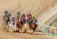 강자들 격돌… 1월 18일 렛츠런파크 서울 1400m 1등급 ‘핸디캡 빅매치’ 렛츠런파크 서울 모래 트랙에서 다수의 경주마와 기수들이 코너 구간을 통과하며 치열하게 질주하는 경주 장면. 선두권 말들이 흙먼지를 일으키며 접전을 벌이고 있다.