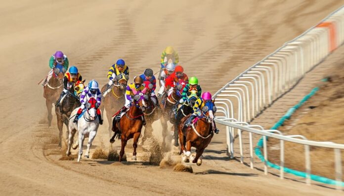 렛츠런파크 서울 모래 트랙에서 다수의 경주마와 기수들이 코너 구간을 통과하며 치열하게 질주하는 경주 장면. 선두권 말들이 흙먼지를 일으키며 접전을 벌이고 있다.