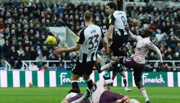 산드로 뉴캐슬 미드필더.jpg 다시 주전으로 돌아온 산드로 토날리