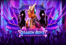 K-팝 감성의 레드 타이거 신작 슬롯 ‘드래곤 보이즈’ 2월 19일 공개 2월 19일 공개되는 레드 타이거 신작 드래곤 보이즈 테마