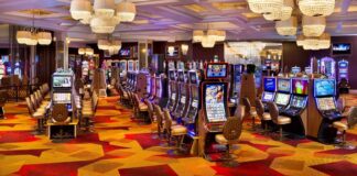 Seminole Hard Rock Tampa (1)