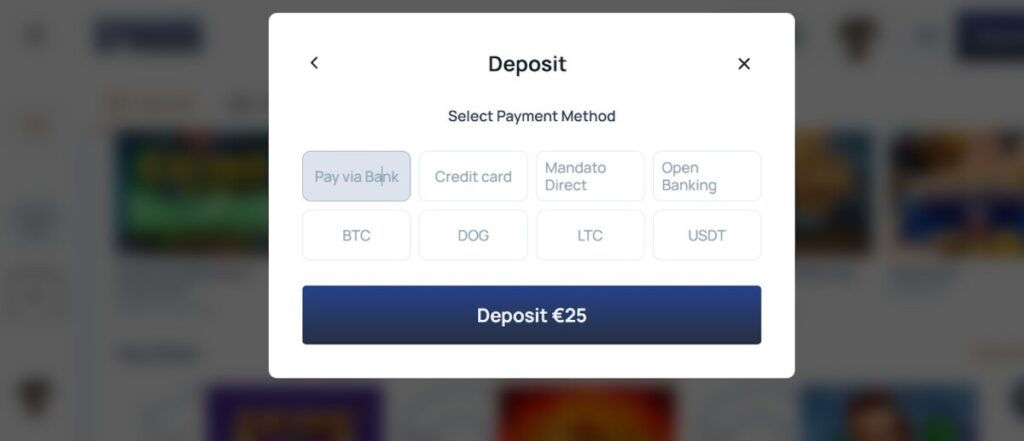 Spindog recensie - Betaalmethoden