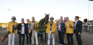 Personer i gula kavajer, en häst med segerkrans och pokaler på travbanan under en prisceremoni.