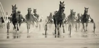 Travhästar med kuskar tävlar på blöt bana, vattenstänk och sulky syns tydligt i bild.