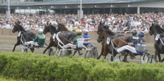 Travhästlopp med kuskar på sulkys inför stor publik på travbana.