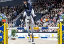 Ryttare på häst hoppar hinder under tävling i fullsatt arena, med ATG-logotyper vid hindret.