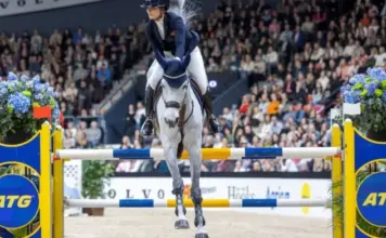 Ryttare på häst hoppar hinder under tävling i fullsatt arena, med ATG-logotyper vid hindret.