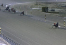 Ett utmanande år för ATG och svensk hästsport Travlopp på vintrig bana med ledande ekipage och flera hästar bakom under tävling på oval travbana.