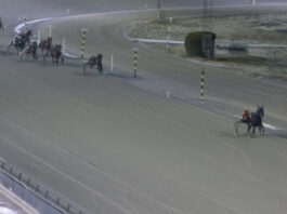 Travlopp på vintrig bana med ledande ekipage och flera hästar bakom under tävling på oval travbana.