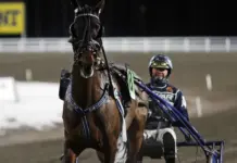 Travhäst i full fart på banan med kusk i sulky under ett kvällslopp, publik och bana i bakgrunden.