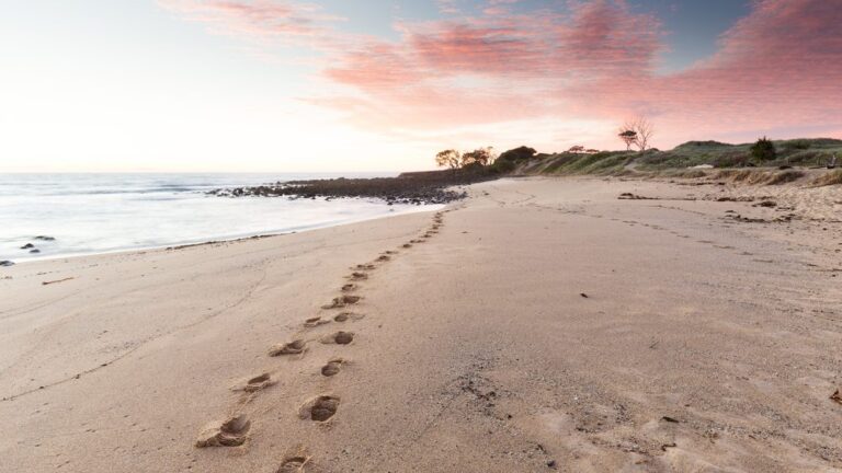 QCI grows global footprint via Modulus partnership