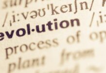 Evolution