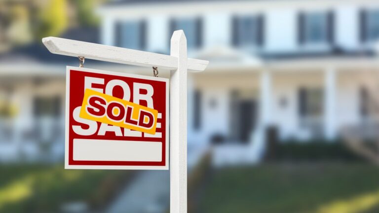 Better Collective basks in ‘value added transactions’ amid North American joy