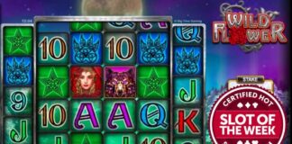 BTG’s Wild Flower rocks its way to SlotBeats’ SOTW