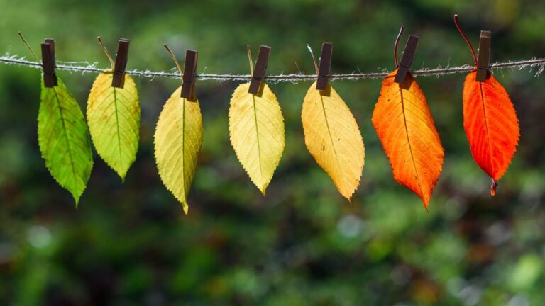 Galaxy Gaming seeking fresh perspectives with CEO transition