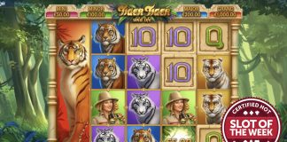 Yggdrasil and G Games have pounced to claim SlotBeats’ Slot of the Week award with their new roaring title, Tiger Tiger: Wild Life.