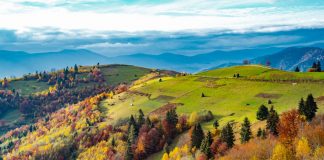 Carpathian Mountains