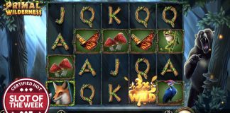 Betsoft Gaming has snatched up SlotBeats’ Slot of the Week accolade after traversing “dangerous paths” in its Primal Wilderness sequel title. 